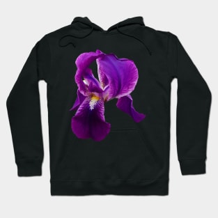 Flower Iris . Fleur de luce Hoodie